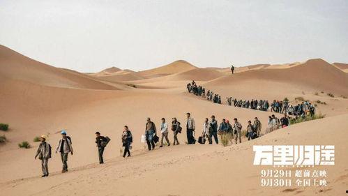 归途有期,探寻人生旅程的温馨归宿