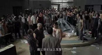 罪犯们,罪犯群像解析