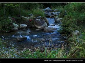 清清溪流,自然之韵,心灵之泉