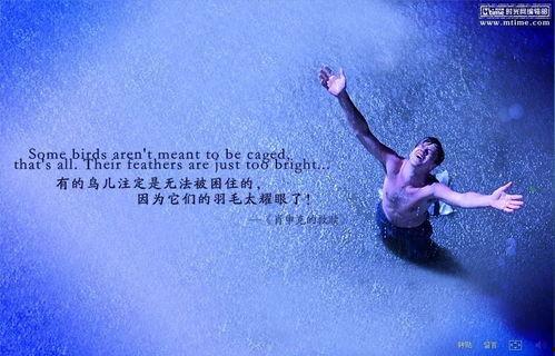 节拍救赎,探寻音乐节奏中的心灵疗愈之旅